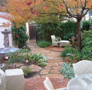 Patio Pleasure Garden